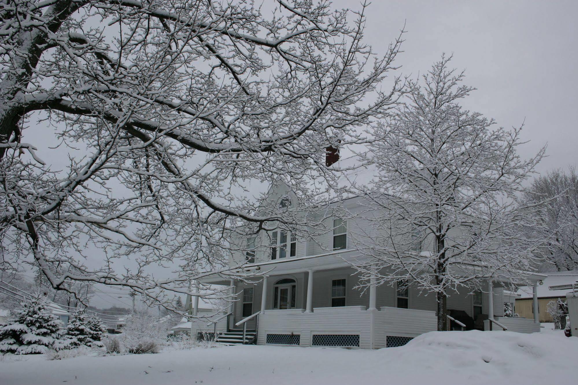 The Young House Bed And Breakfast Millinocket 外观 照片